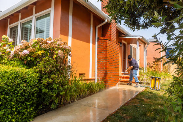 Best Pressure Washing Siding  in Terrace Park, OH